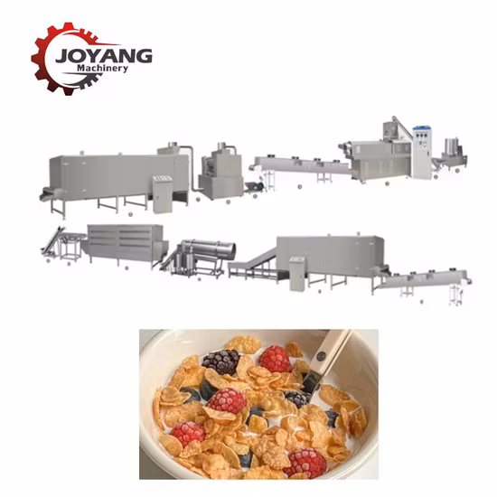 Кукурузные хлопья, фрукты, мед, хлопья, хлопья, кольца, хлопья для завтрака, оборудование для переработки